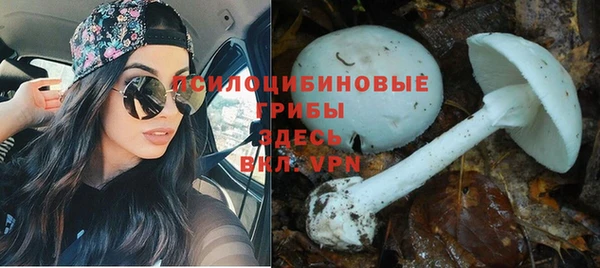 кокаин колумбия Баксан