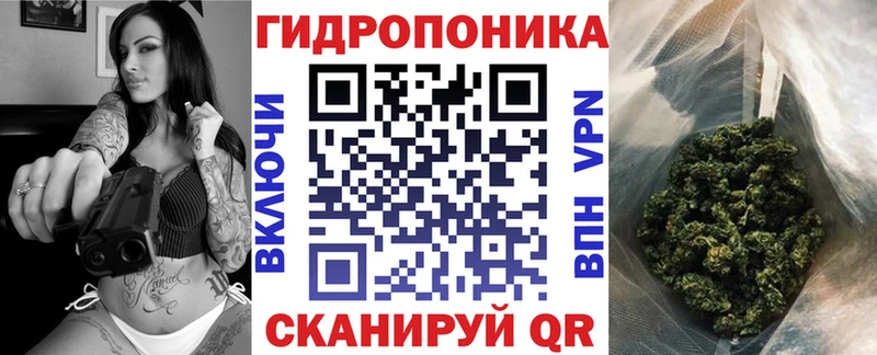 Шишки марихуана THC 21%  как найти наркотики  Лесосибирск 